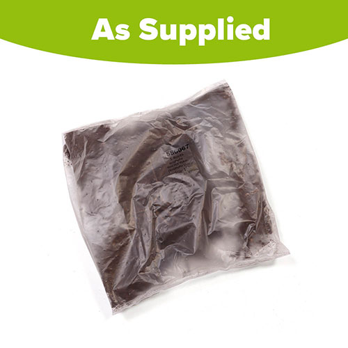 Red Hot Poker Red Hot Poker