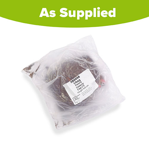 Peony Celebrity Peony Celebrity