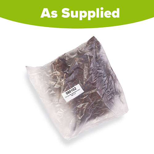 Centaurea dealbata Centaurea dealbata