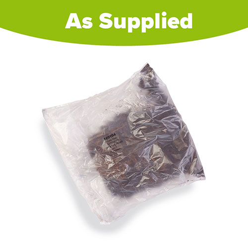 Echinacea Breeders Mix Echinacea Breeders Mix