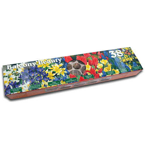 Blooming Fast Drop In Bulb Planter Balcony Beauty Pack Blooming Fast Drop In Bulb Planter Balcony Beauty Pack