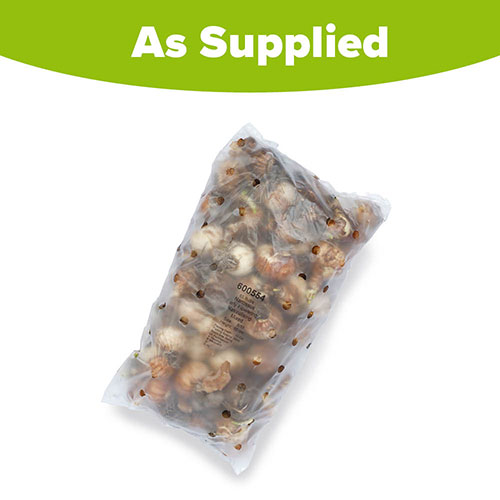 Early Flowering Naturalising Daffodil Mix Early Flowering Naturalising Daffodil Mix