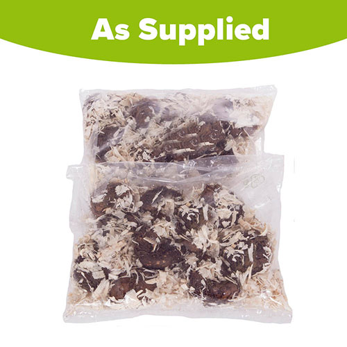 Belgian Giant Begonias - 10 Upright and 10 Trailers Belgian Giant Begonias - 10 Upright and 10 Trailers