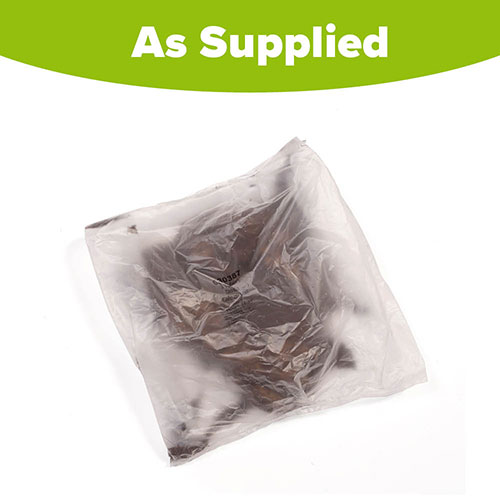 Dahlia Cafe au Lait Dahlia Cafe au Lait