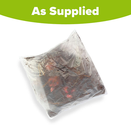 Lily Dinner Plate Monchique Lily Dinner Plate Monchique