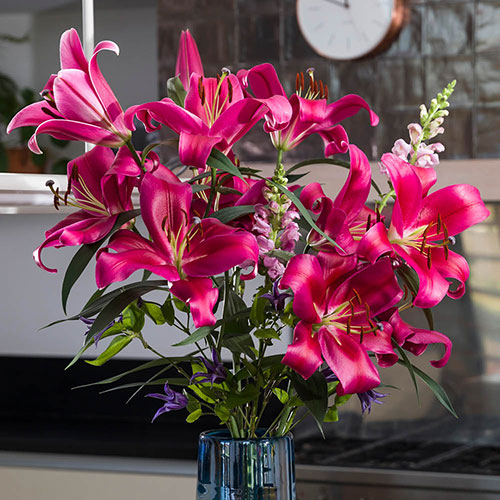Lily Dinner Plate Red Desire Lily Dinner Plate Red Desire