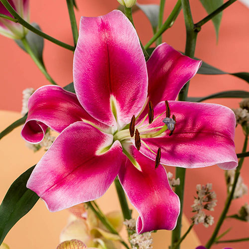 Lily Dinner Plate Red Desire Lily Dinner Plate Red Desire