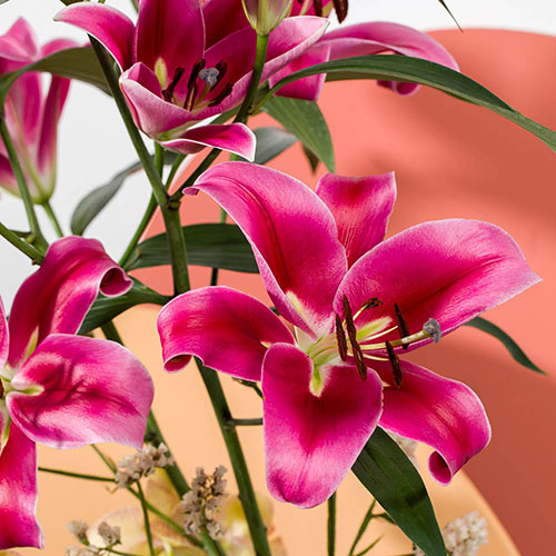 Lily Dinner Plate Red Desire Lily Dinner Plate Red Desire