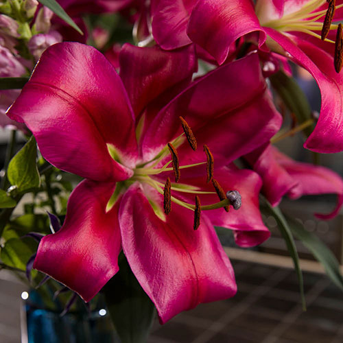 Lily Dinner Plate Red Desire Lily Dinner Plate Red Desire