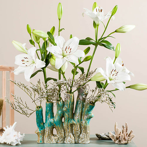 Lily Eyeliner Lily Eyeliner