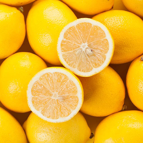 Citrus Lemon Tree Citrus Lemon Tree