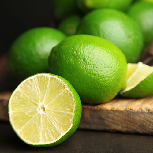 Citrus Lime Tree Gift Wrapped Citrus Lime Tree Gift Wrapped