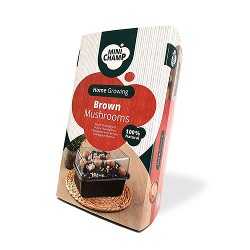 Brown Mushroom Grow Kit
