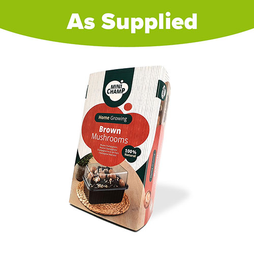 Brown Mushroom Grow Kit Brown Mushroom Grow Kit