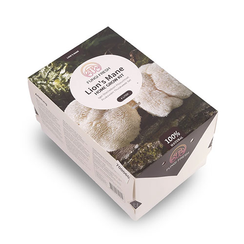 Lions Mane Mushroom Grow Kit Lions Mane Mushroom Grow Kit