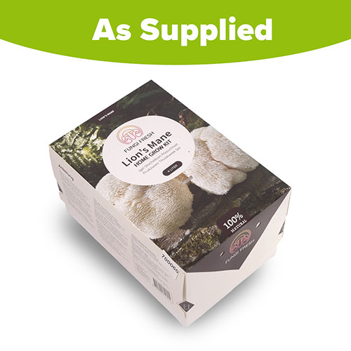 Lions Mane Mushroom Grow Kit Lions Mane Mushroom Grow Kit